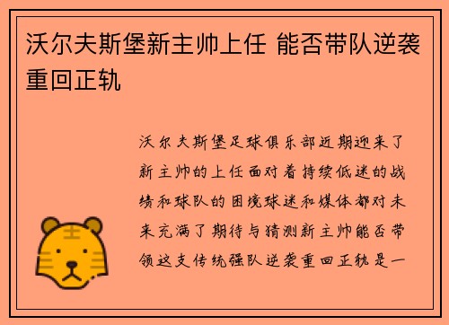 沃尔夫斯堡新主帅上任 能否带队逆袭重回正轨
